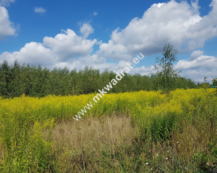 Działka Sprzedaż Ojrzanów