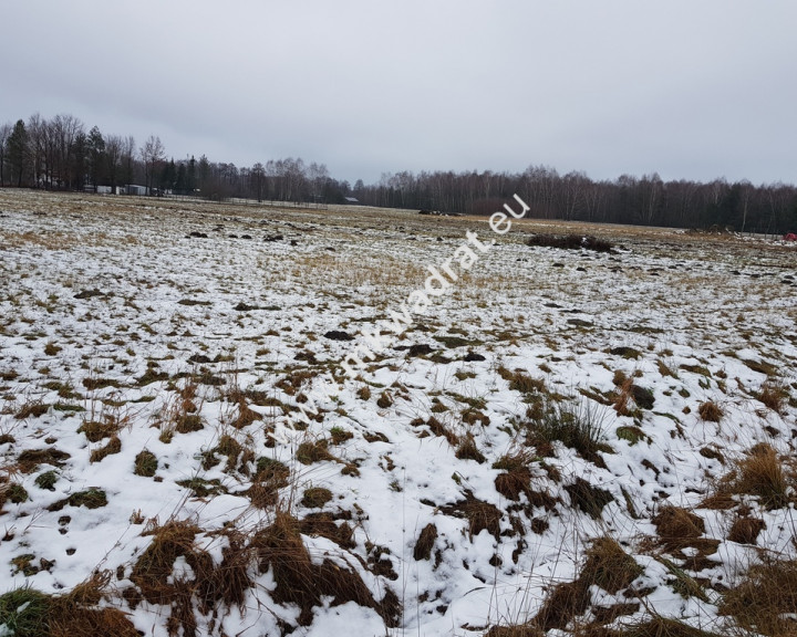 Działka Sprzedaż Budy Zaklasztorne