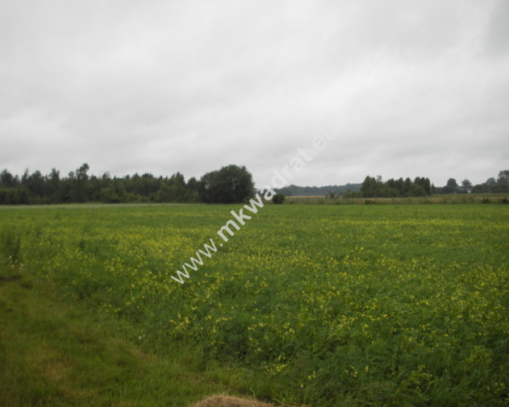 Działka Sprzedaż Zimnice