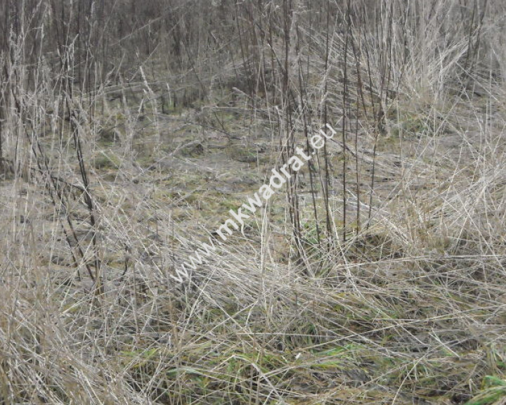 Działka Sprzedaż Nowe Gnatowice