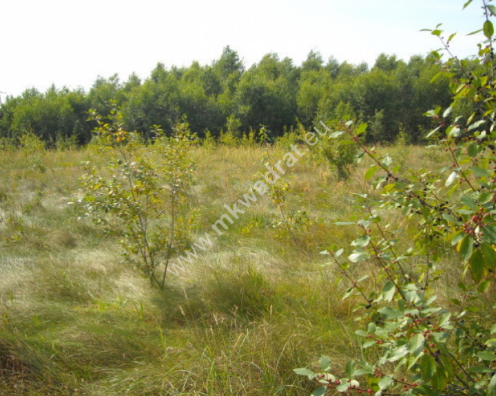 Działka Sprzedaż Jaktorów