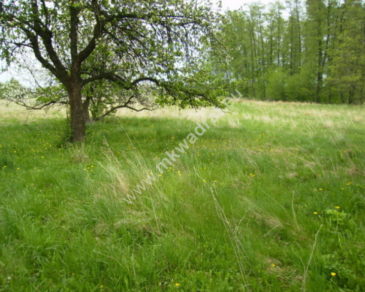 Działka Sprzedaż Budy Mszczonowskie