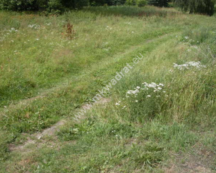 Działka Sprzedaż Mszczonów