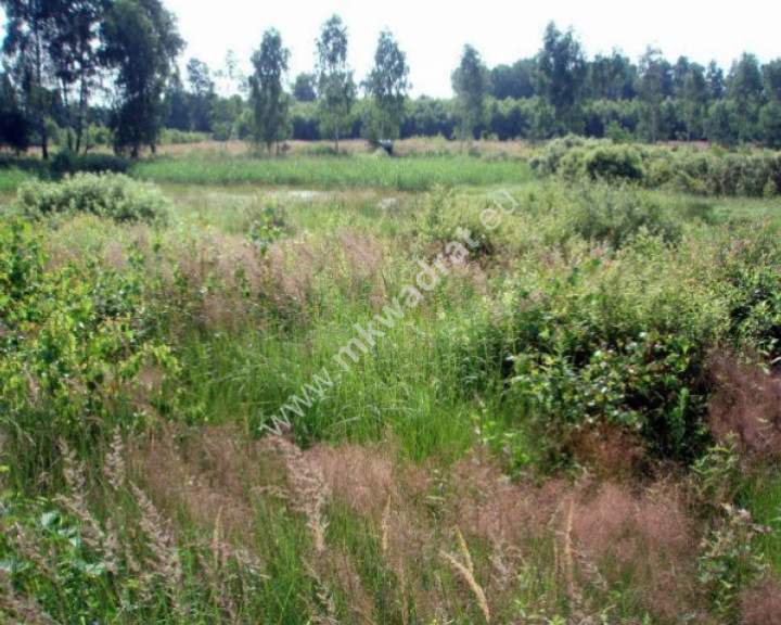 Działka Sprzedaż Badowo-Dańki