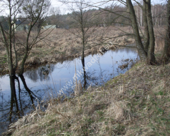 Działka Sprzedaż Kampinos