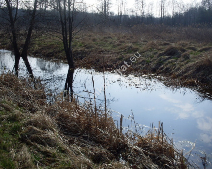 Działka Sprzedaż Kampinos