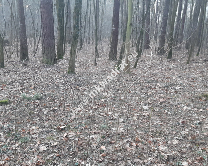 Działka Sprzedaż Otrębusy Sosnowa