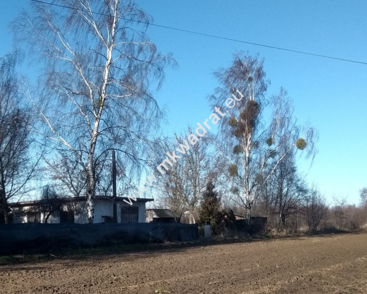 Działka Sprzedaż Płochocin Oferta warta polecenia!