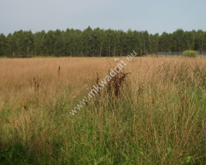 Działka Sprzedaż Siestrzeń