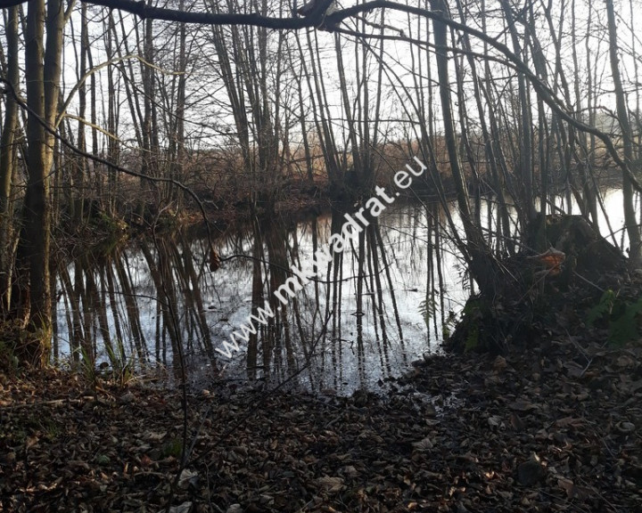 Działka Sprzedaż Gąba