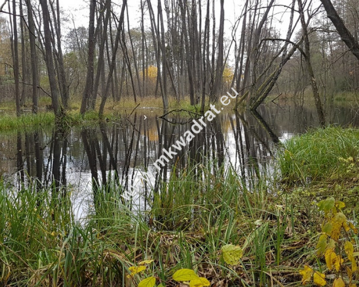 Działka Sprzedaż Zimna Woda